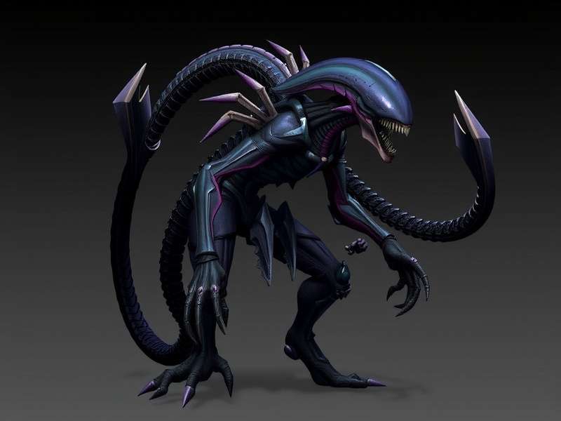 Acid-Type Xenomorph Champion